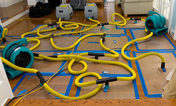 Professional Structural Drying And Dehumidification technician working in North Aurora, IL